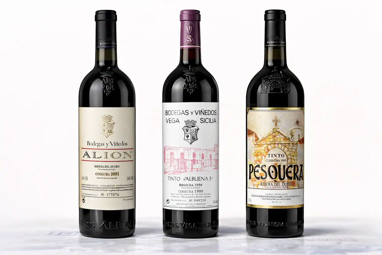 Ribera del Duero