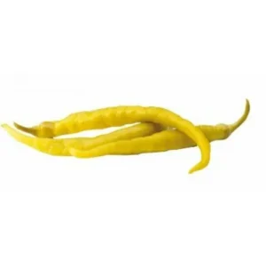 Guindilla Vasca T/ 3 kg