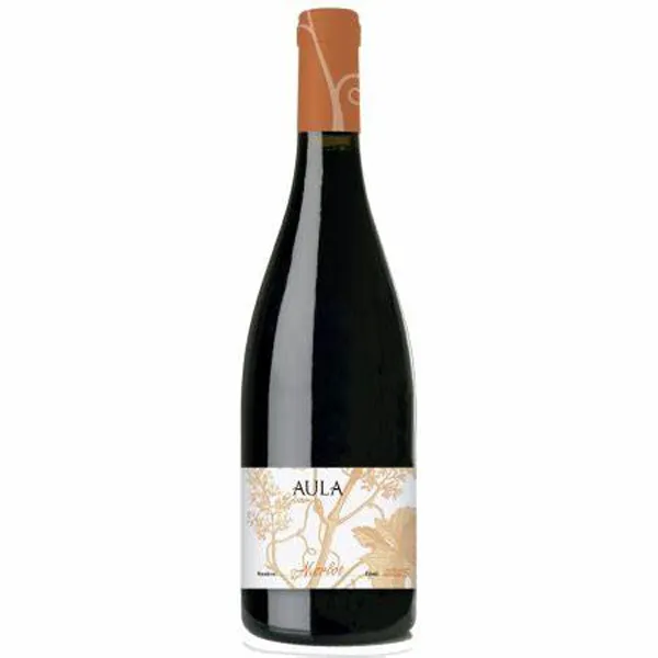 Vino Aula Merlot Crianza Tinto 3/4