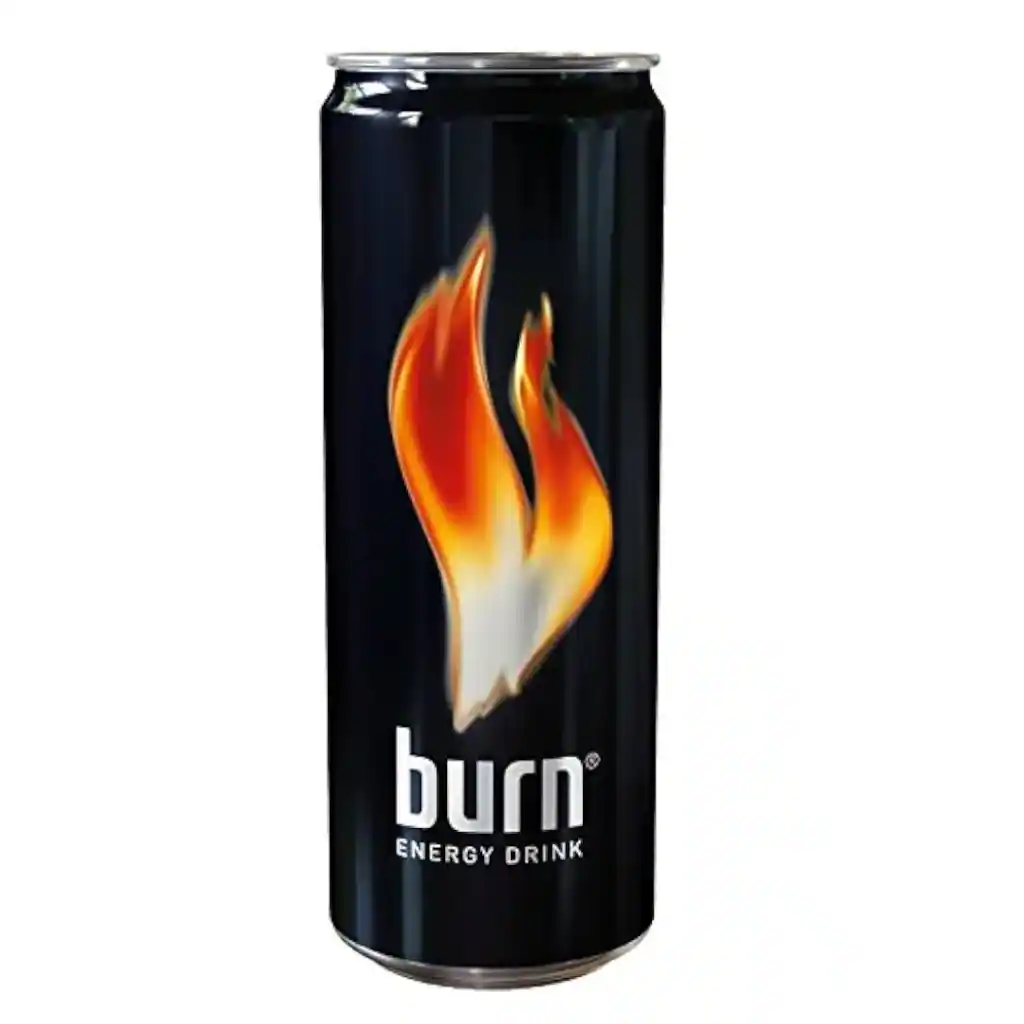Burn Lata 250 ml pack 24 botes