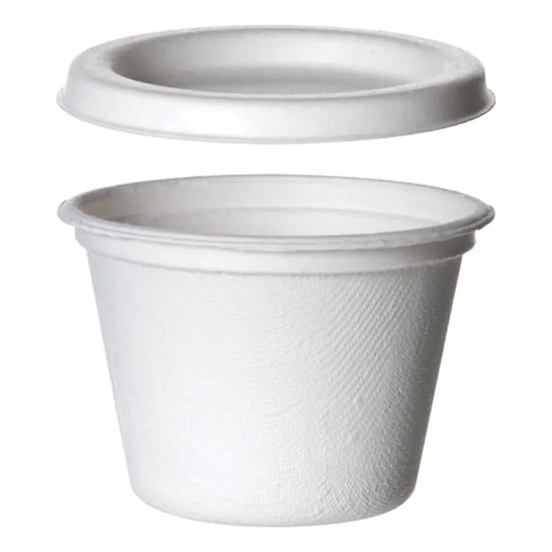 Salsa Fibra Caña 120 ml + Tapa 100 Unidades
