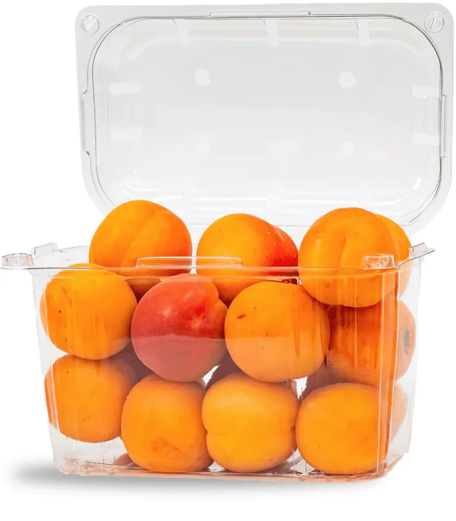 Cesta + Tapa Fruta 500 GR C/760 Unid TR