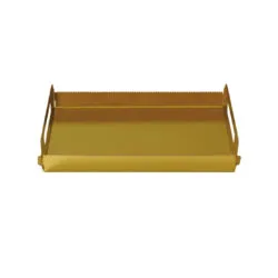 Cubeta Asa Oro/blc 34.5x11.5x2.5 P100