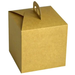 Caja Panettone Kraft N 21 21x21x21 P25